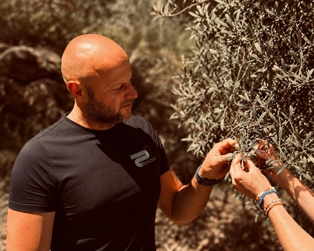 EKOSI Gründer prüft gemeinsam mit einer Produzentin die Reife der Oliven direkt am Olivenbaum in einem traditionellen Olivenhain auf Kreta.